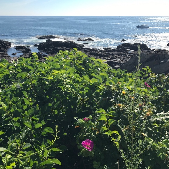 Meet your Posher, McMeh Mom. - Picture 1 of 1